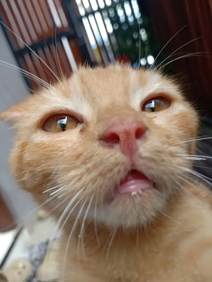 Ren's profile picture